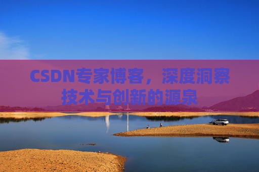 CSDN专家博客，深度洞察技术与创新的源泉